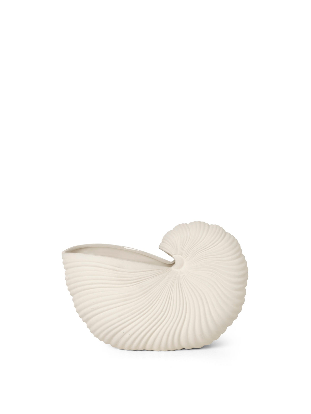White shell-shaped vase on a white background