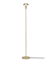 Gold floor lamp on a white background