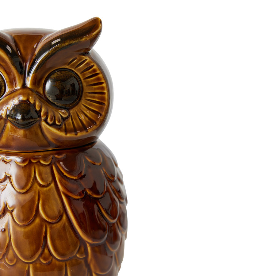 Ceramic owl jar - roasted
